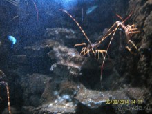 САМОСТОЯТЕЛЬНОЕ ПУТЕШЕСТВИЕ ПО ГРЕЦИИ