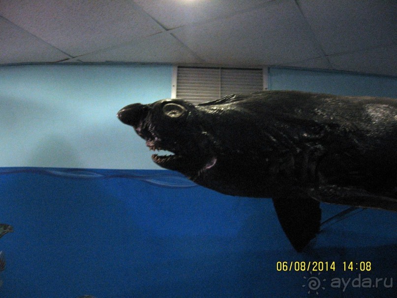 САМОСТОЯТЕЛЬНОЕ ПУТЕШЕСТВИЕ ПО ГРЕЦИИ