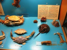 САМОСТОЯТЕЛЬНОЕ ПУТЕШЕСТВИЕ ПО ГРЕЦИИ