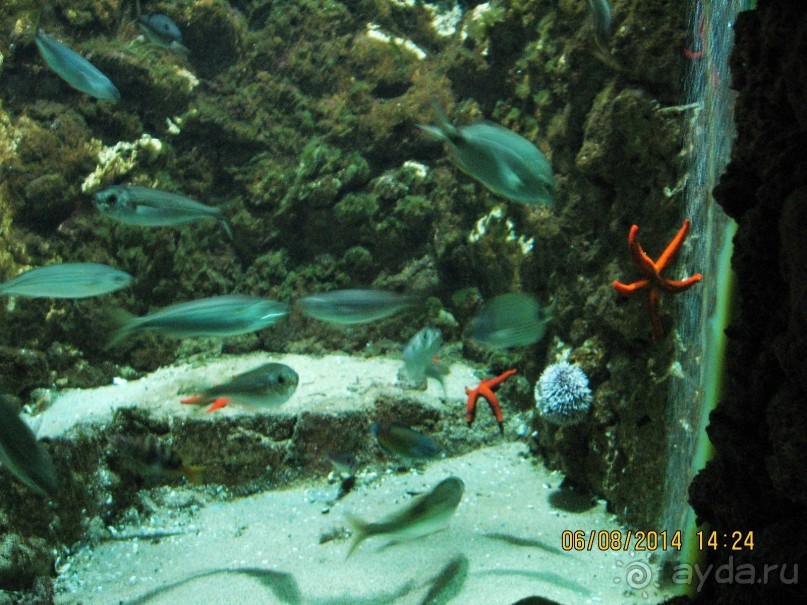 САМОСТОЯТЕЛЬНОЕ ПУТЕШЕСТВИЕ ПО ГРЕЦИИ