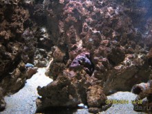 САМОСТОЯТЕЛЬНОЕ ПУТЕШЕСТВИЕ ПО ГРЕЦИИ