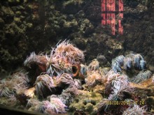 САМОСТОЯТЕЛЬНОЕ ПУТЕШЕСТВИЕ ПО ГРЕЦИИ