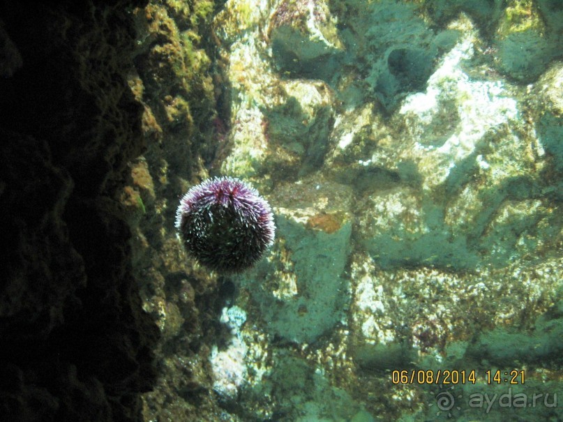 САМОСТОЯТЕЛЬНОЕ ПУТЕШЕСТВИЕ ПО ГРЕЦИИ