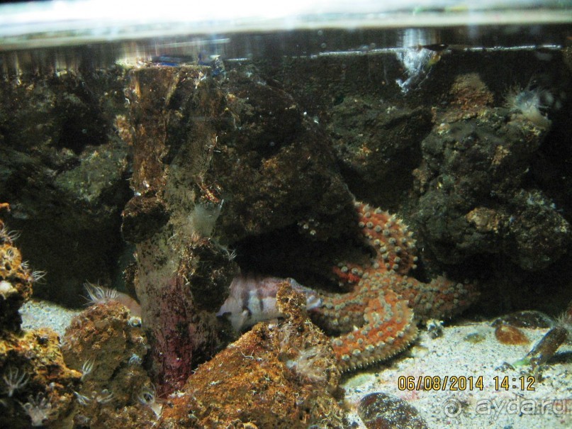 САМОСТОЯТЕЛЬНОЕ ПУТЕШЕСТВИЕ ПО ГРЕЦИИ