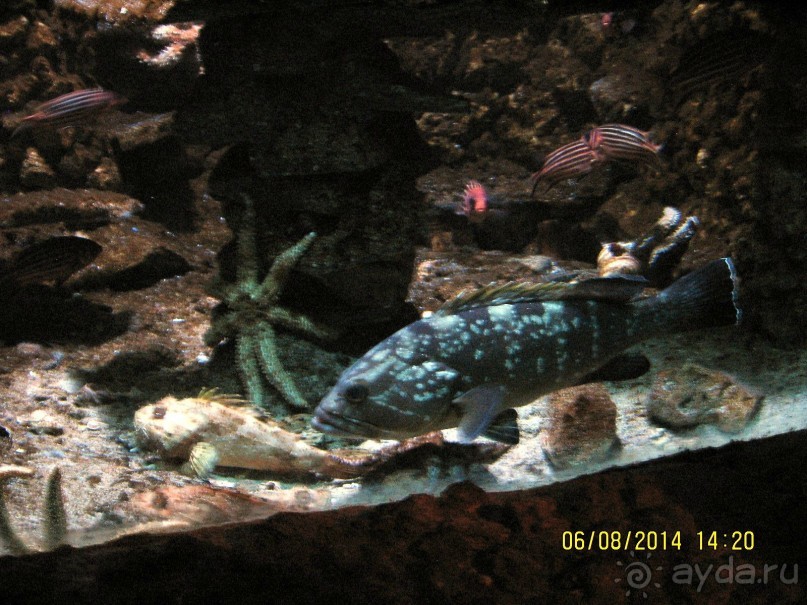 САМОСТОЯТЕЛЬНОЕ ПУТЕШЕСТВИЕ ПО ГРЕЦИИ