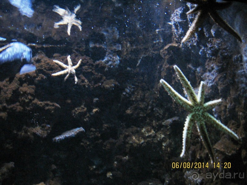 САМОСТОЯТЕЛЬНОЕ ПУТЕШЕСТВИЕ ПО ГРЕЦИИ