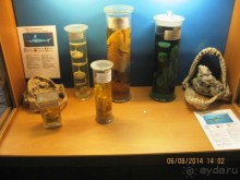 САМОСТОЯТЕЛЬНОЕ ПУТЕШЕСТВИЕ ПО ГРЕЦИИ