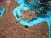 САМОСТОЯТЕЛЬНОЕ ПУТЕШЕСТВИЕ ПО ГРЕЦИИ