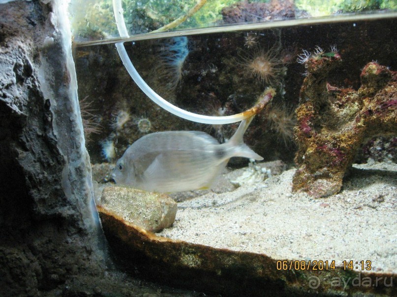 САМОСТОЯТЕЛЬНОЕ ПУТЕШЕСТВИЕ ПО ГРЕЦИИ