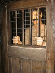 Альбом рассказа "Увлекательно-развлекательная Майорка"