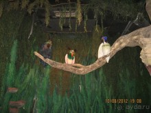 Альбом рассказа "Увлекательно-развлекательная Майорка"