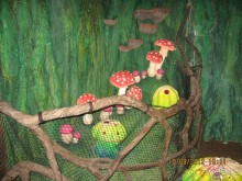 Альбом рассказа "Увлекательно-развлекательная Майорка"