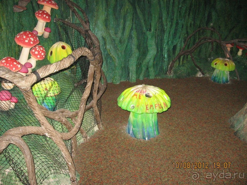 Альбом рассказа "Увлекательно-развлекательная Майорка"