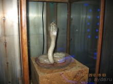 Альбом рассказа "Увлекательно-развлекательная Майорка"