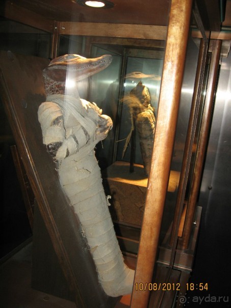 Увлекательно-развлекательная Майорка