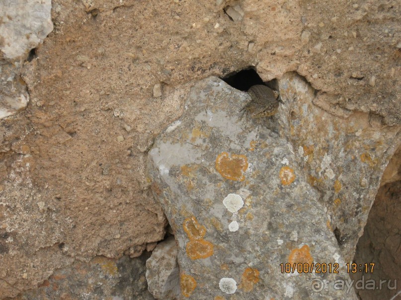 Увлекательно-развлекательная Майорка