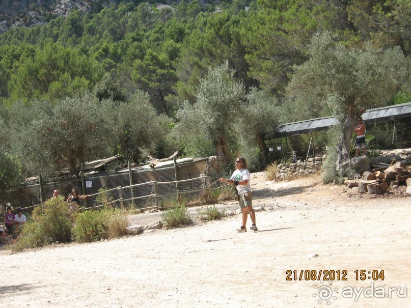 Увлекательно-развлекательная Майорка