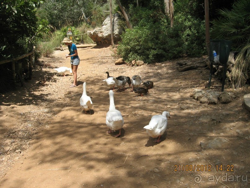 Увлекательно-развлекательная Майорка