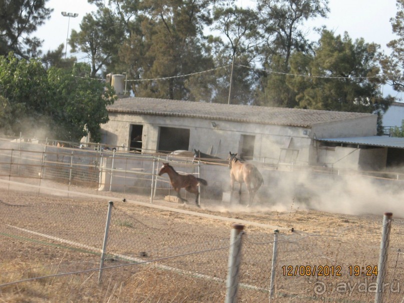 Увлекательно-развлекательная Майорка