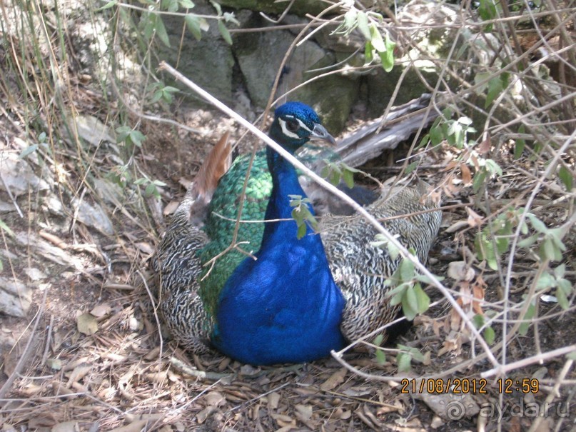 Увлекательно-развлекательная Майорка