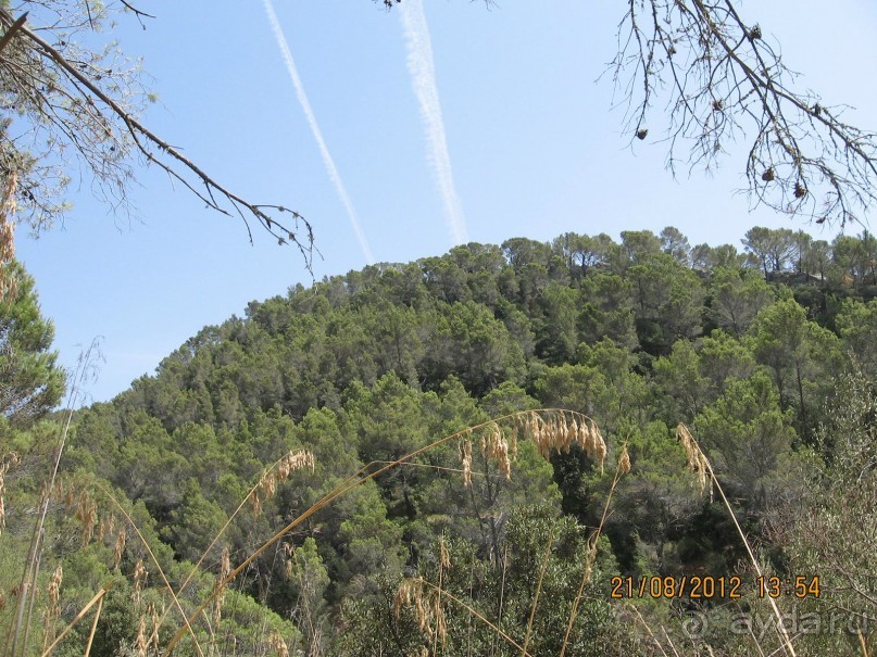 Увлекательно-развлекательная Майорка