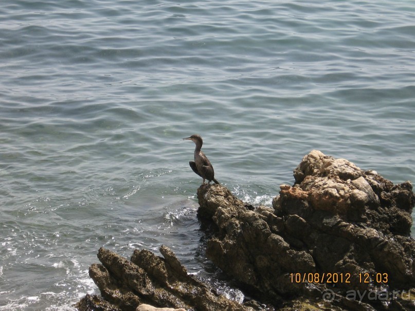 Увлекательно-развлекательная Майорка