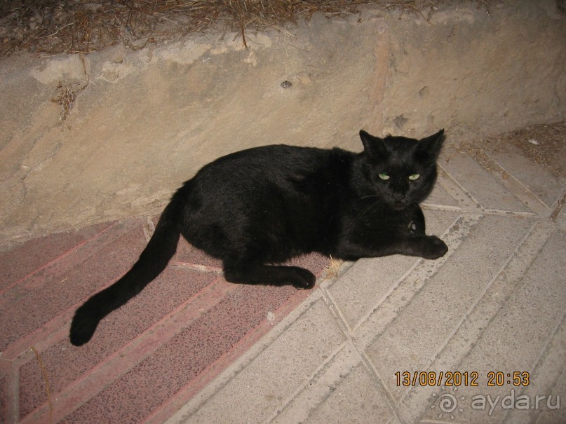 Увлекательно-развлекательная Майорка