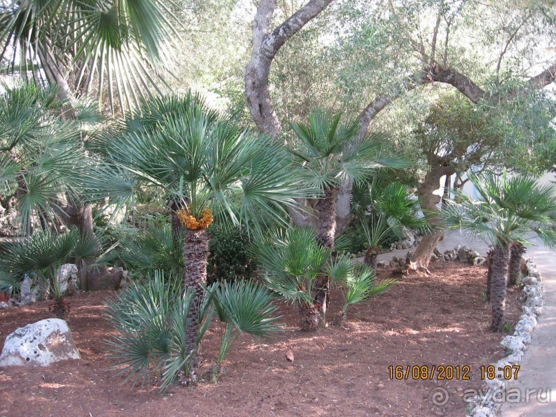 Увлекательно-развлекательная Майорка