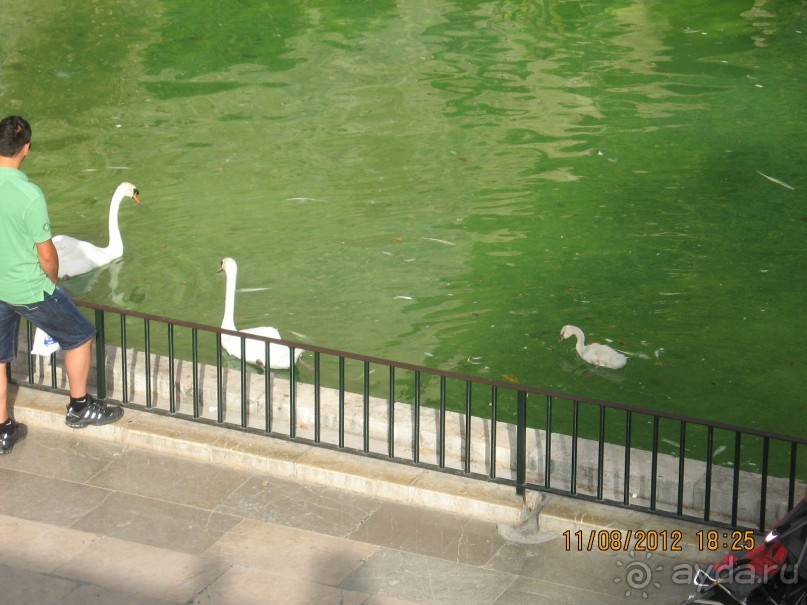 Увлекательно-развлекательная Майорка