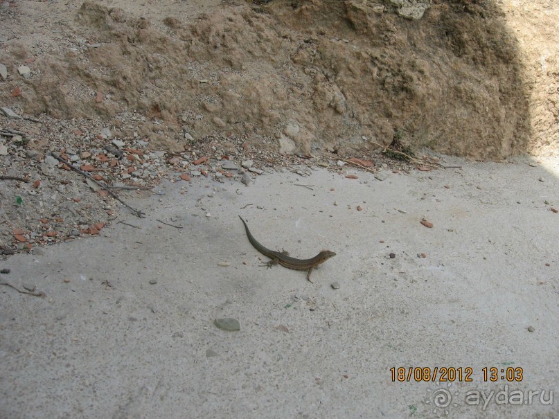 Увлекательно-развлекательная Майорка