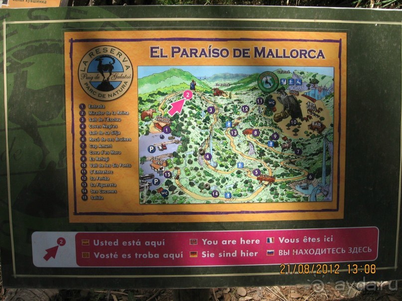 Увлекательно-развлекательная Майорка