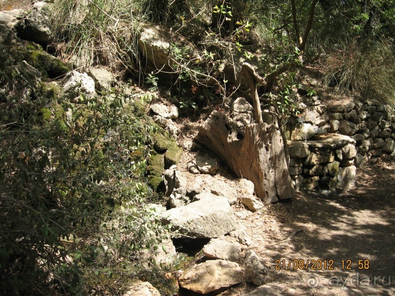 Увлекательно-развлекательная Майорка