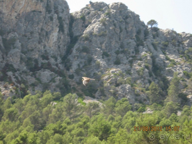 Увлекательно-развлекательная Майорка