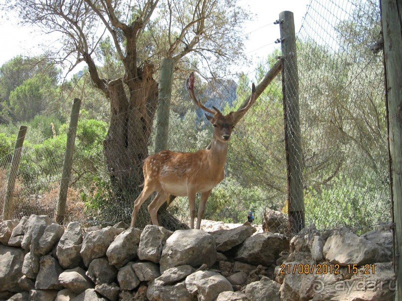 Увлекательно-развлекательная Майорка