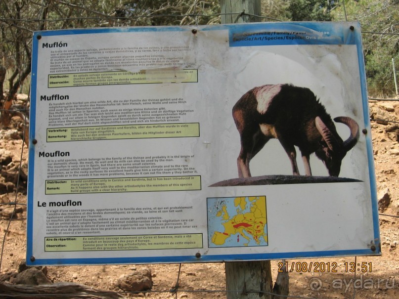 Увлекательно-развлекательная Майорка