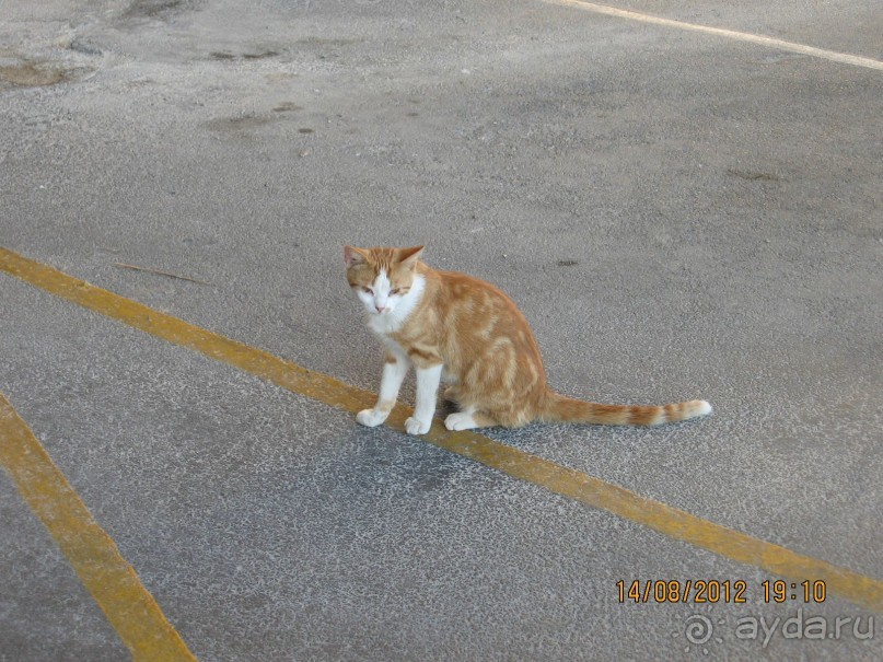 Увлекательно-развлекательная Майорка