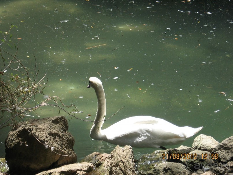 Увлекательно-развлекательная Майорка