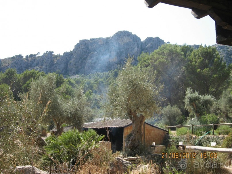 Увлекательно-развлекательная Майорка