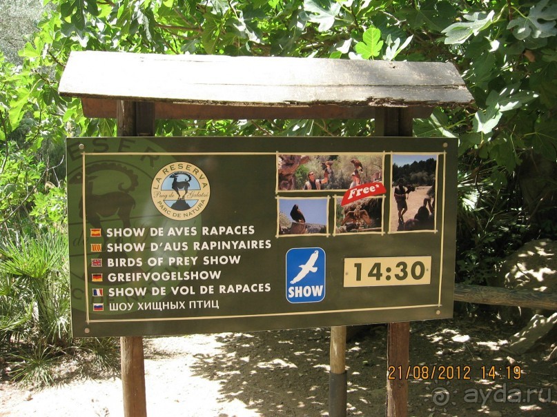 Увлекательно-развлекательная Майорка