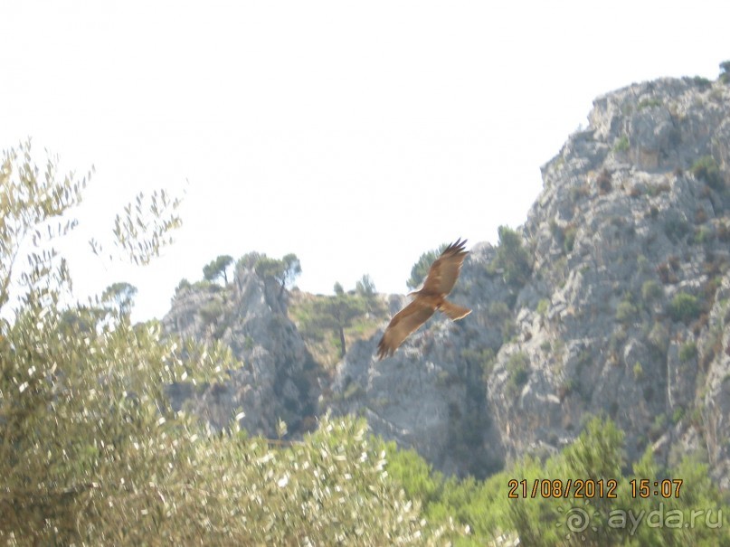 Увлекательно-развлекательная Майорка