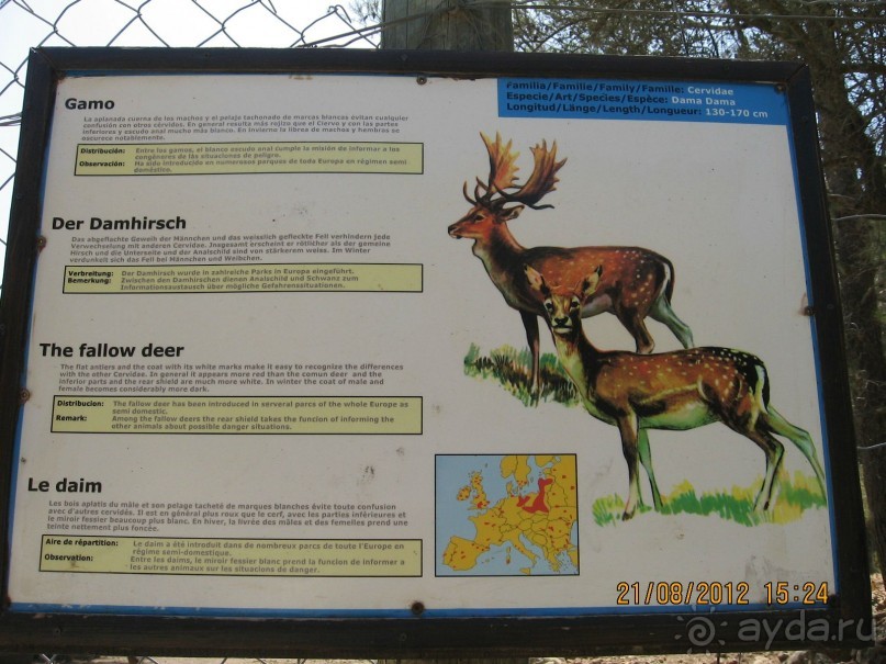 Увлекательно-развлекательная Майорка