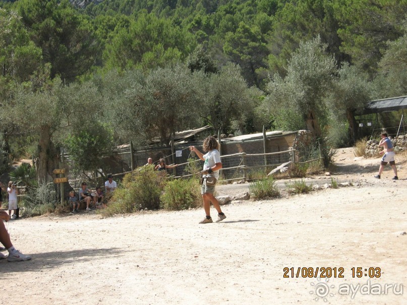 Увлекательно-развлекательная Майорка