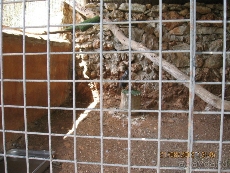 Увлекательно-развлекательная Майорка