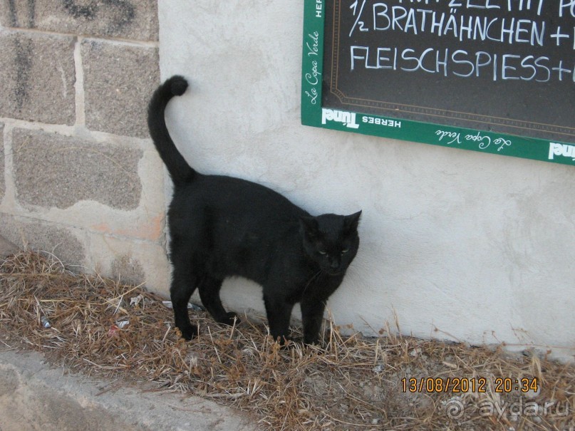 Увлекательно-развлекательная Майорка