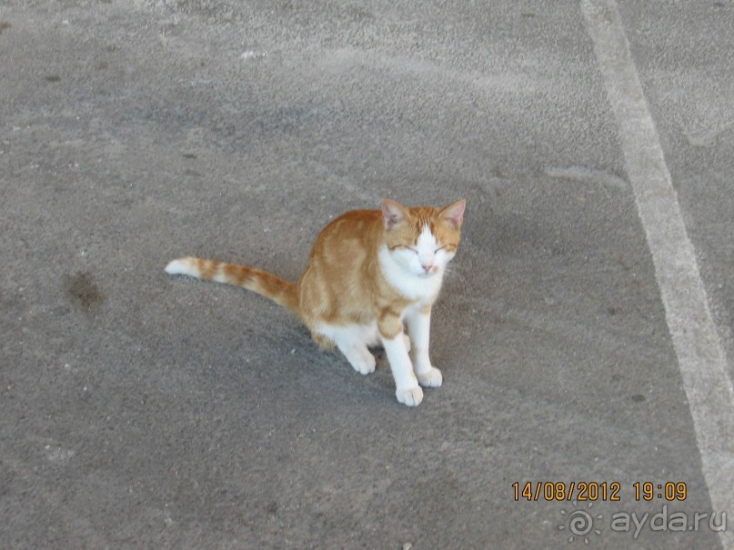 Увлекательно-развлекательная Майорка