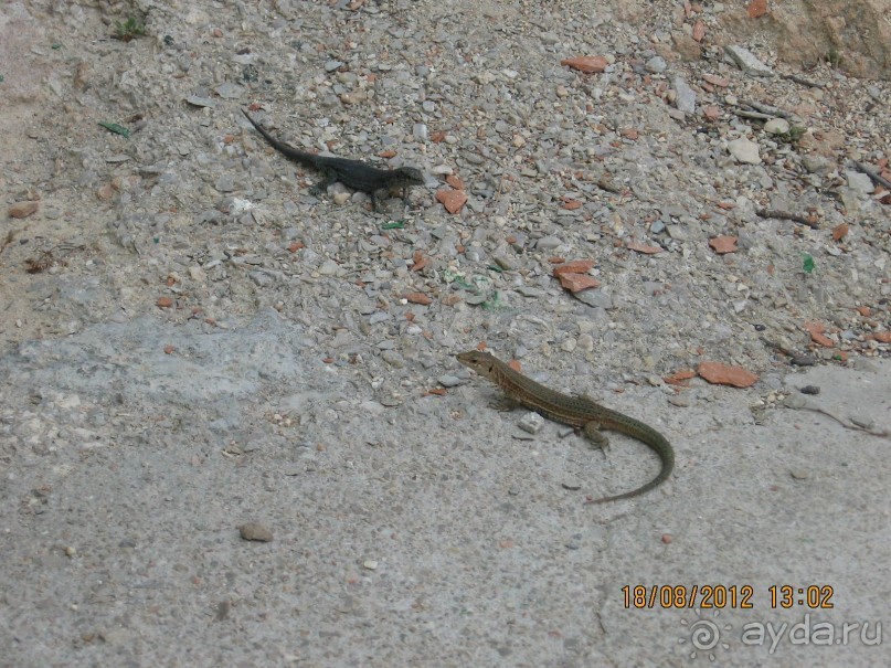 Увлекательно-развлекательная Майорка