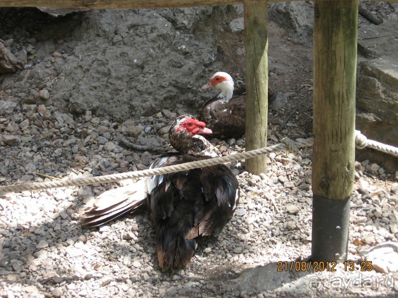 Увлекательно-развлекательная Майорка