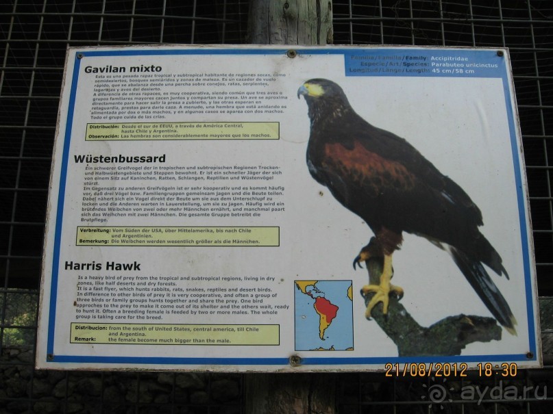 Увлекательно-развлекательная Майорка