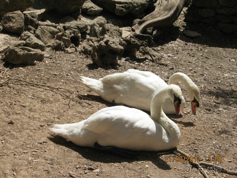 Увлекательно-развлекательная Майорка