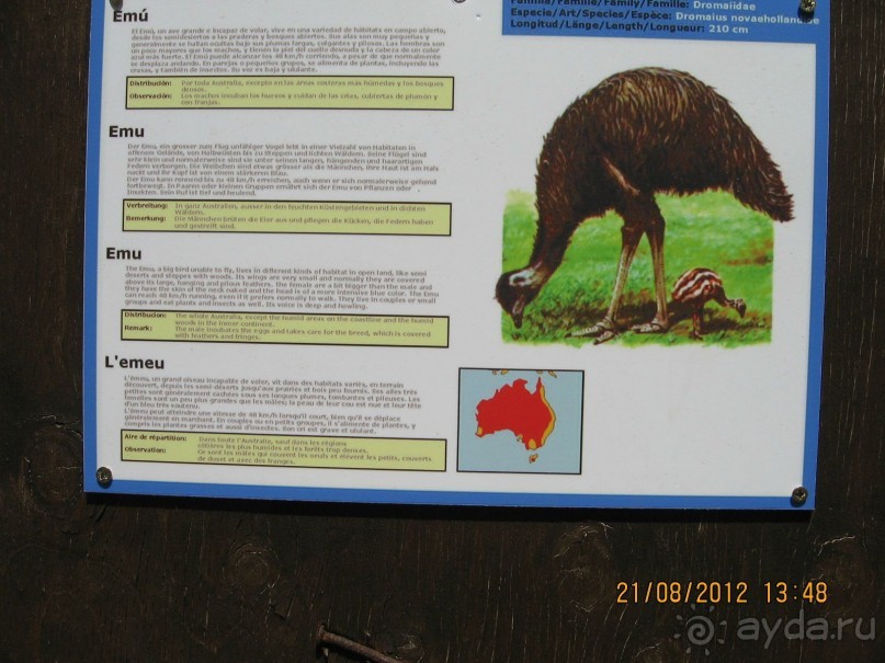 Увлекательно-развлекательная Майорка